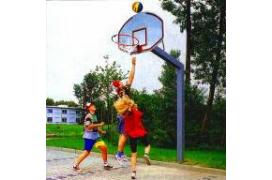 Стойка баскетбольная - минибаскетбольная (стритбольная) фото